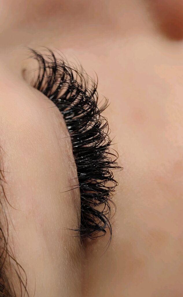3D Camelia Eyelashes